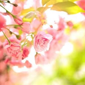 Meet your Posher, Doloris